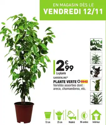 ALDI Plante verte offre