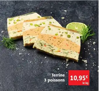 Colruyt Terrine 3 Poissons offre