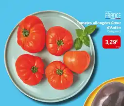 Colruyt Tomates allongées Cœur d'Antan offre