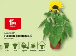 ALDI GARDENLINE FLEUR DE TOURNESOL offre