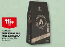 ALDI FLAMMENCO CHARBON DE BOIS POUR BARBECUE offre