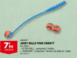ALDI CHUCKIT JOUET BALLE POUR CHIEN offre