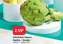 Monoprix Nestlé - céréales lion offre