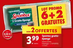 Lidl Spontex gratte-éponge offre