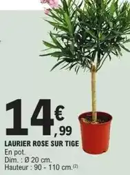 Cora x Carrefour Cora - capsules de café au lait type dolce gusto offre