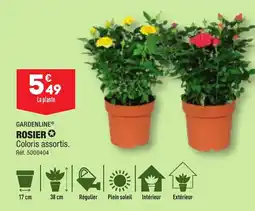 ALDI ROSIER✪ offre