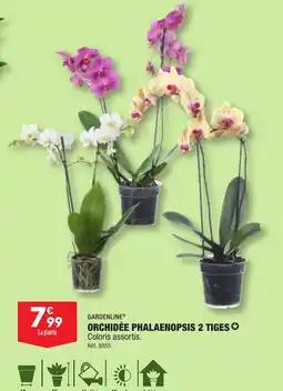 ALDI ORCHIDÉE PHALAENOPSIS 2 TIGES✪ offre