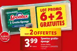 Lidl Spontex gratte- éponge offre