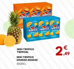Hmarket MINI TROPICO TROPICAL offre