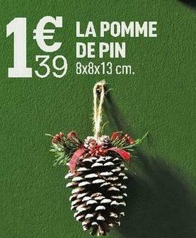 Centrakor La pomme de pin offre