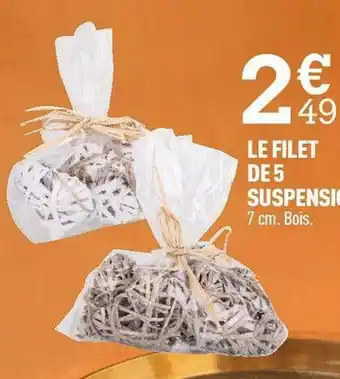 Le filet de 5 suspensions