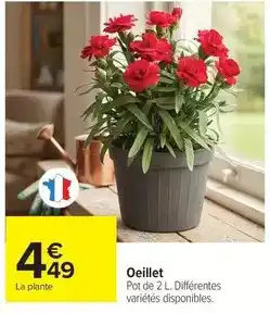 Intermarché Florette - mâche format familial offre