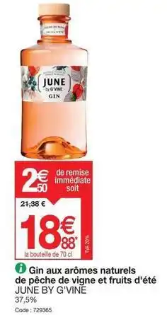 Promocash June by g'viné - gin aux arômes naturels de pêche de vigne et fruits d'été offre