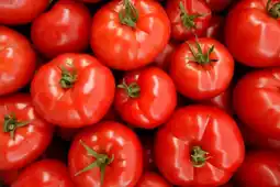 Carrefour Tomate ronde charnue offre
