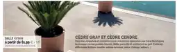Gifi Assiette offre