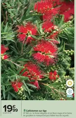 Conforama Far - lave-vaisselle intégrable 60cm offre