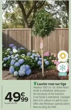 Conforama Moulinex - blender offre