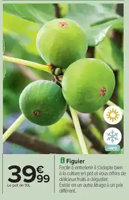 Conforama Moulinex - friteuse offre