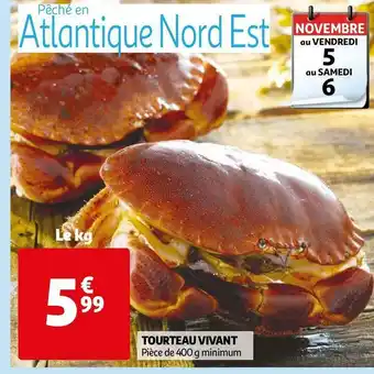 Auchan Tourteau vivant offre