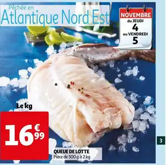 Auchan Queue de lotte offre