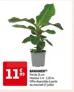 Auchan Supermarché BANANIER offre