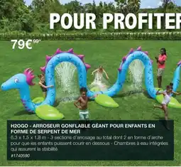 H2OGO - ARROSEUR GONFLABLE GÉANT POUR ENFANTS EN FORME DE SERPENT DE MER