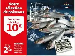 Auchan Sardines offre