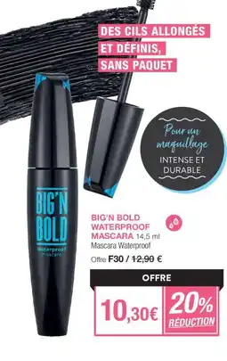 Stanhome BIG'N BOLD WATERPROOF MASCARA offre
