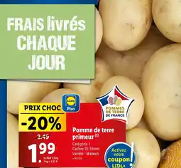 Lidl Pomme de terre primeur offre