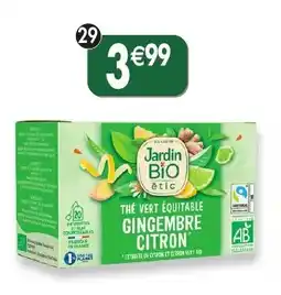 Maximo Thé vert gingembre citron offre