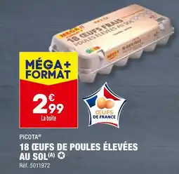 PICOTA 18 ŒUFS DE POULES ÉLEVÉES AU SOL
