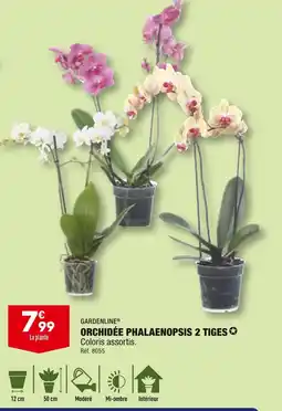 ALDI GARDENLINE ORCHIDÉE PHALAENOPSIS 2 TIGES offre