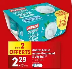 Lidl Andros - brassé nature gourmand & végétal offre