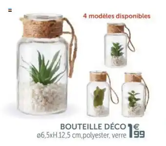 Gifi Bouteille déco offre
