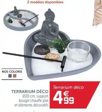 Gifi Terrarium déco offre