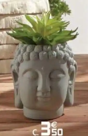 Gifi Plantes bouddha offre
