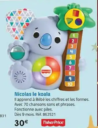 Nicolas le koala