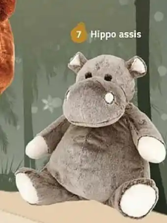 Hippo assis