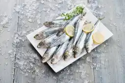 Carrefour Market Sardine (k) offre