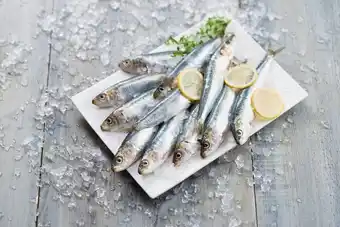 Carrefour Market Sardine (k) offre