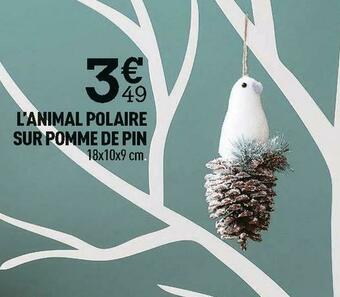 Centrakor L’animal polaire sur pomme de pin offre