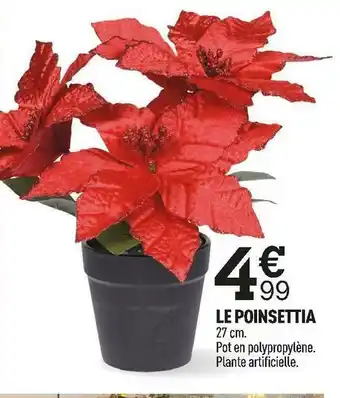 Centrakor Le poinsettia offre