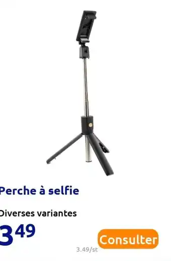 Perche à selfie