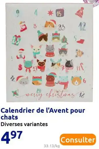 Action Calendrier de l'avent pour chats offre