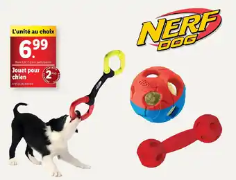 Lidl NERF DOG Jouet pour chien offre