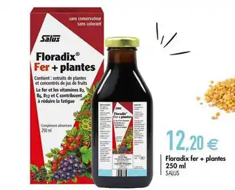 Biomonde Floradix Fer + Plantes 250 Ml Salus offre