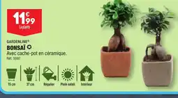 ALDI BONSAÏ offre