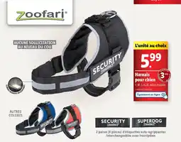 Harnais pour chien