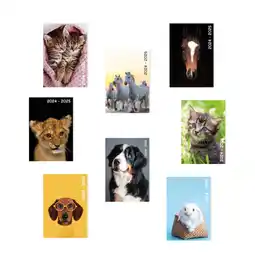 Carrefour Market Agenda scolaire Animaux Domestiques offre