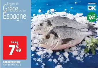 METRO Mogu mogu - cassis offre